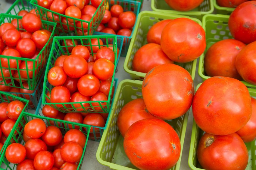 Baskets of tomatoes.