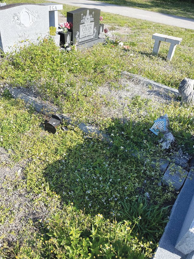 A common problem in Hendry County cemeteries is the overgrowth of vegitation on graves containing coping.