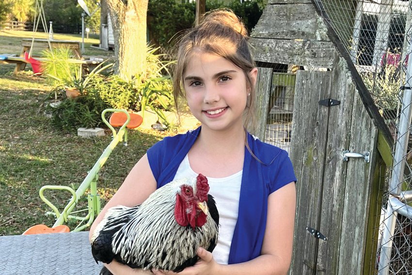 Sayara raises chickens as 4-H project.