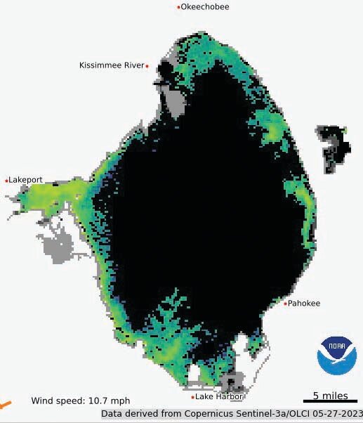 The NOAA satellite imagery from May 27 (most recent image available due to cloud cover on other days) shows moderate algae bloom potential around the edges of Lake Okeechobee. Areas in blue are low potential. Areas in green have moderate potential. Areas in red or orange are likely to have surface scum. Potential does not always mean an algae bloom is present. Other biological matter in the water may affect the reading.