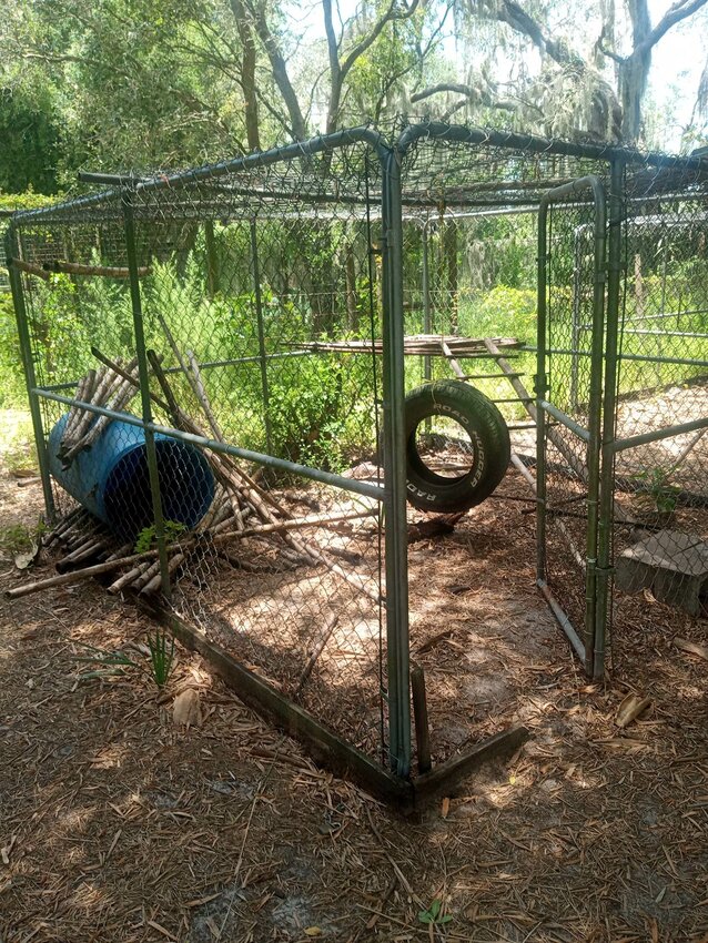 The animals are gone. The cages are empty. No one lives at Wild @ Heart anymore. Property owner Sue Pearce took this photo after being given a writ of possession from the FWC and the Glades County Sheriff's Office.