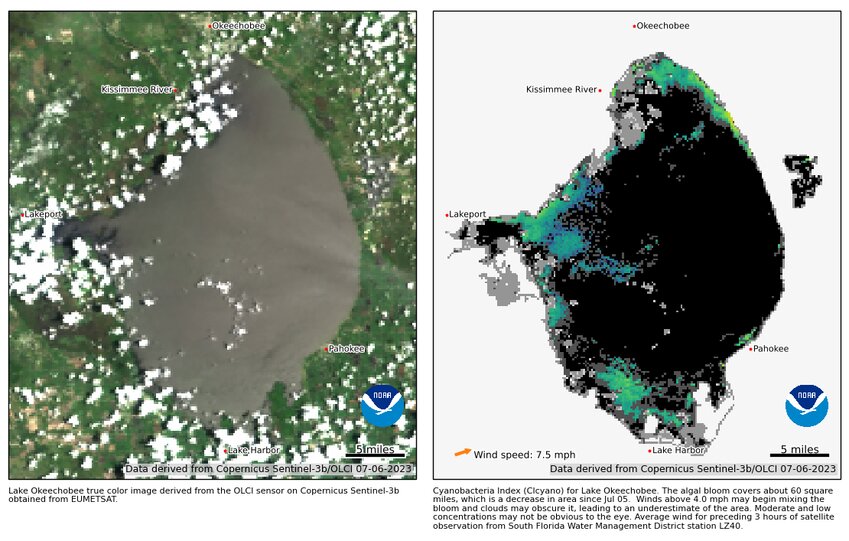 The July 6 satellite image shows algal bloom potential has dropped to about 60 square miles. The previous satellite image showed 360 square miles of coverage.