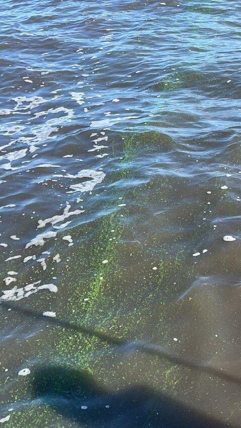 Streaks of algae are visible in this photo of Lake Okeechobee taken July 13 by Florida Department of Environmental Protection,