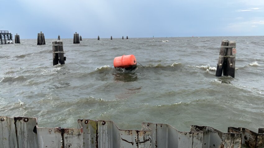 On July 17, FDEP took this photo at Port Mayaca. Tests indicated the toxin levels had dropped.