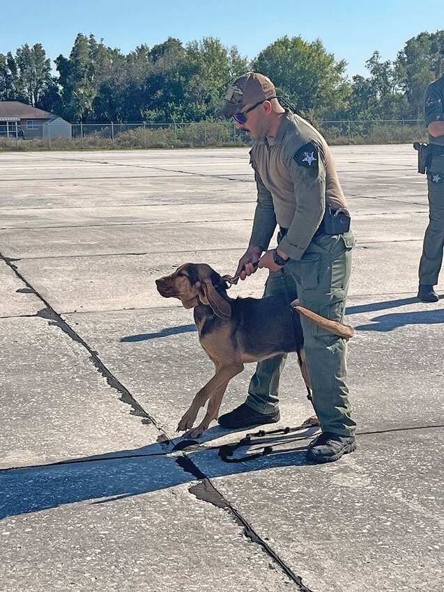 Deputy Gonzalez and K9 Liberty with the Hendry County Sheriff&rsquo;s Office prepare to track. [Photo courtesy K9s United]