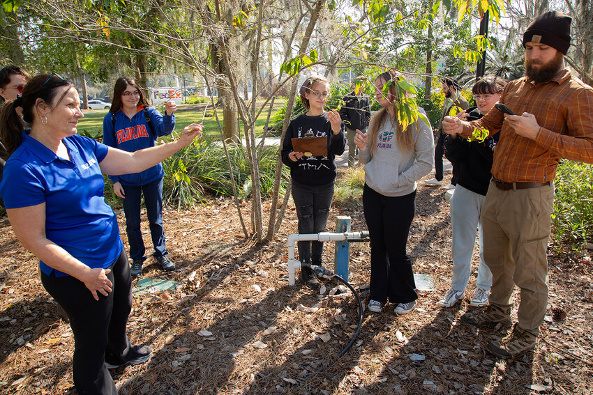 &lsquo;Bee Garden Pollinator&rsquo; -- Dr. Sandra Wilson, a UF/IFAS professor of environmental horticulture, works with her students on the pollinator app.
