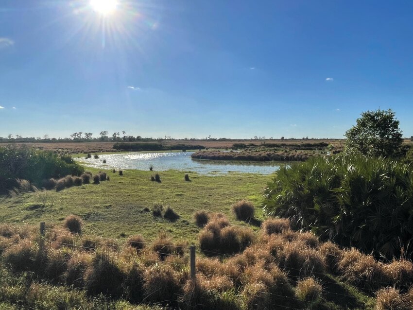 The new Everglades to Gulf Conservation Area started with seven acres donated by Dr. Paul Gray. [Photo courtesy Dr. Paul Gray]
