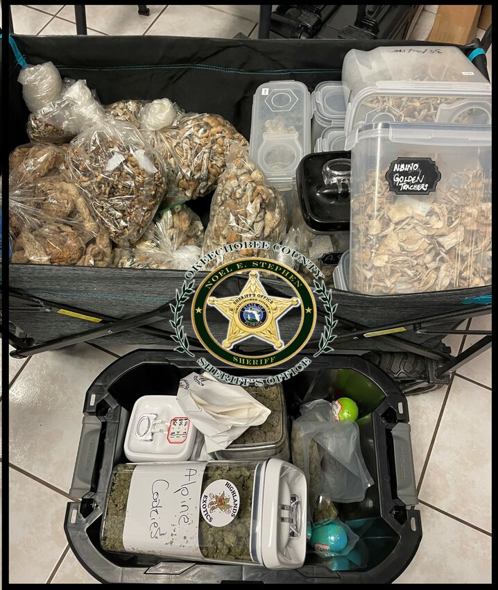 Okeechobee; Florida: Four Arrested - 20 pounds of Psilocybin Mushrooms and 8.5 pounds of Marijuana.
