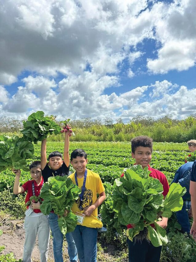 Clewiston Middle School FFA members enjoyed a farm tour at C&amp;B Farms on April 30. The students toured the packing house, cooler and offices before going to the fields to harvest their own green beans, peppers and lettuce. For more photos, see the school's page on Facebook. [Photo courtesy C&amp;B Farms]