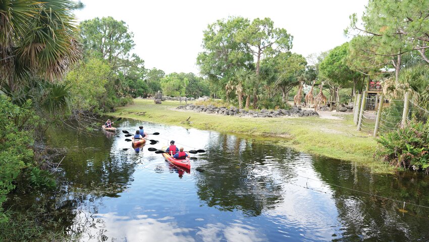 Zoo visitors can kayak through some of the animal habitats at the Brevard Zoo. [Photo courtesy Brevard Zoo]