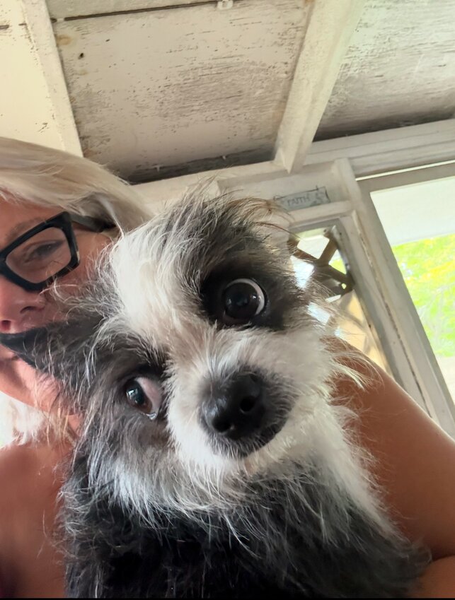 Little Lucy was lost after she was in a serious car accident. She has since been found.