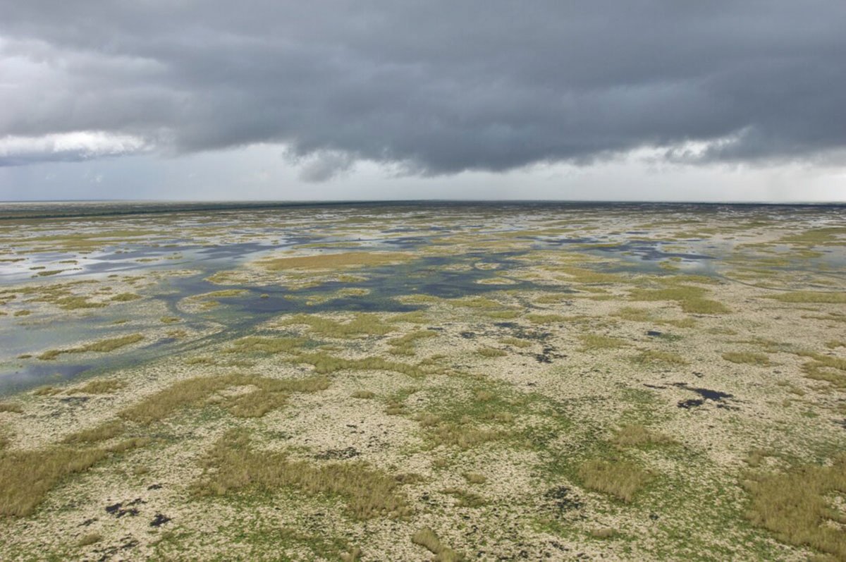 USACE to release 2026 roadmap for Everglades restoration projects | Lake Okeechobee News