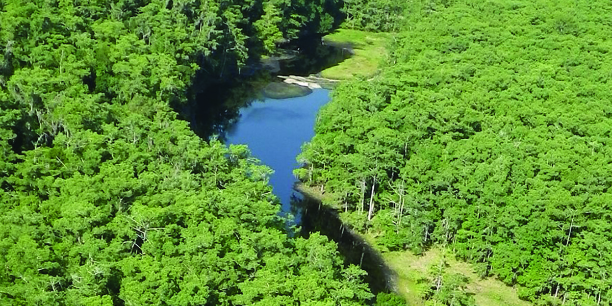 Help plan the future of the Fisheating Creek Wildlife Management Area ...