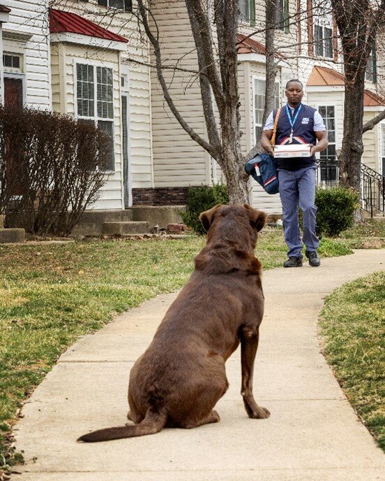 U.S. Postal Service Releases Dog Bite National Rankings