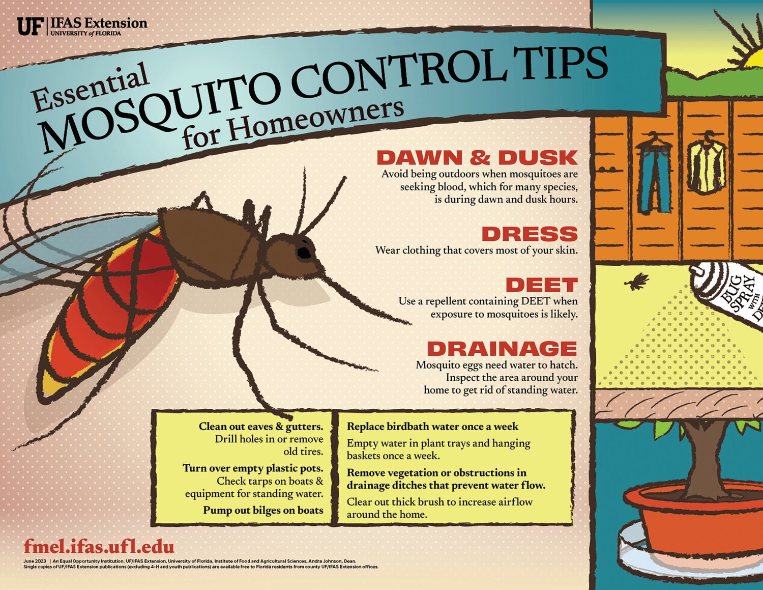 Florida experts break down the myth of mosquito-repelling plants