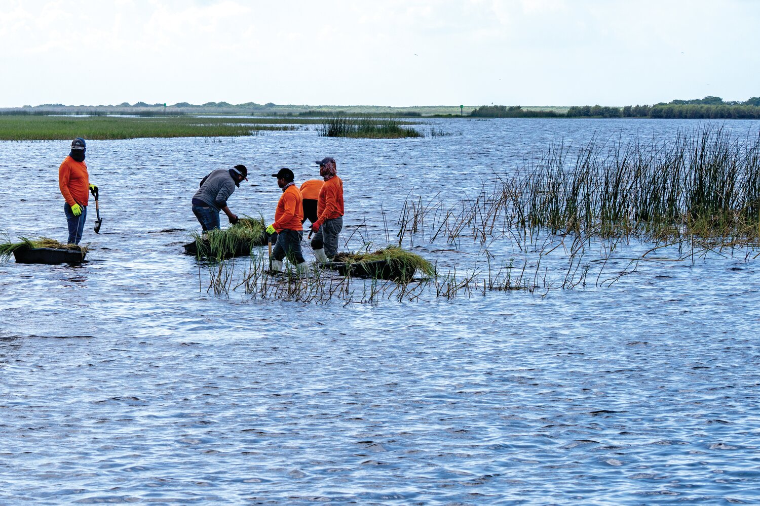 FWC projects improve Lake O ecology