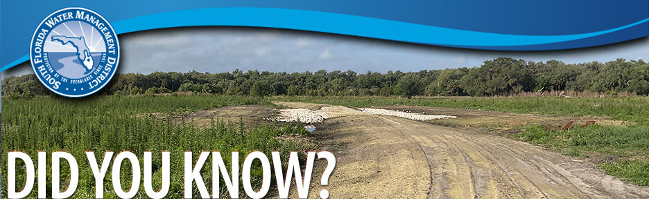 Working together to protect and enhance wetlands in Polk County