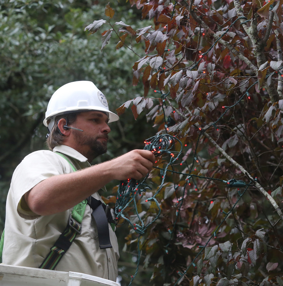 City begins to hang Swan Lake Christmas lights The Sumter Item