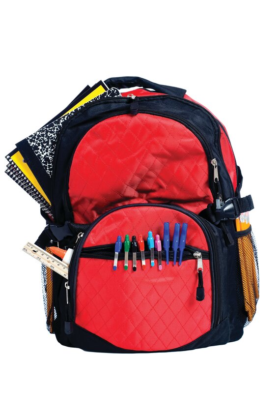 Work Bag to Carry Your Mobile Office – NIKKI WILLIAMS