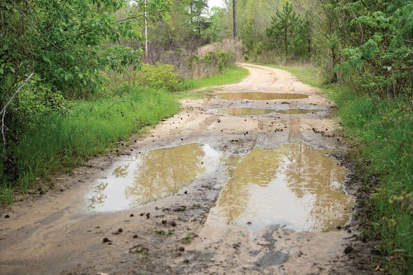 Shakemia Road in Sumter County is riddled with pot holes and lacks drainage, among other issues.