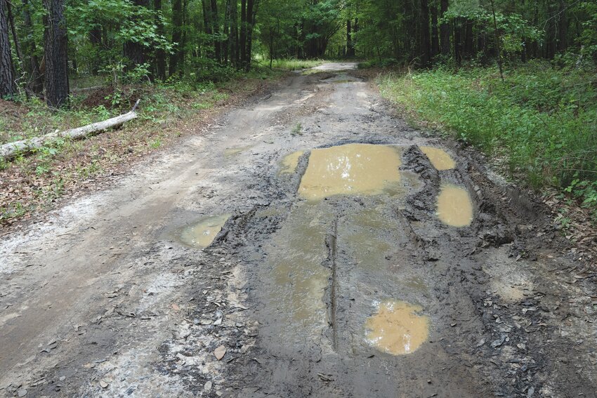 Wilfred Drive in Rembert is seen in poor condition with large puddles and potholes.