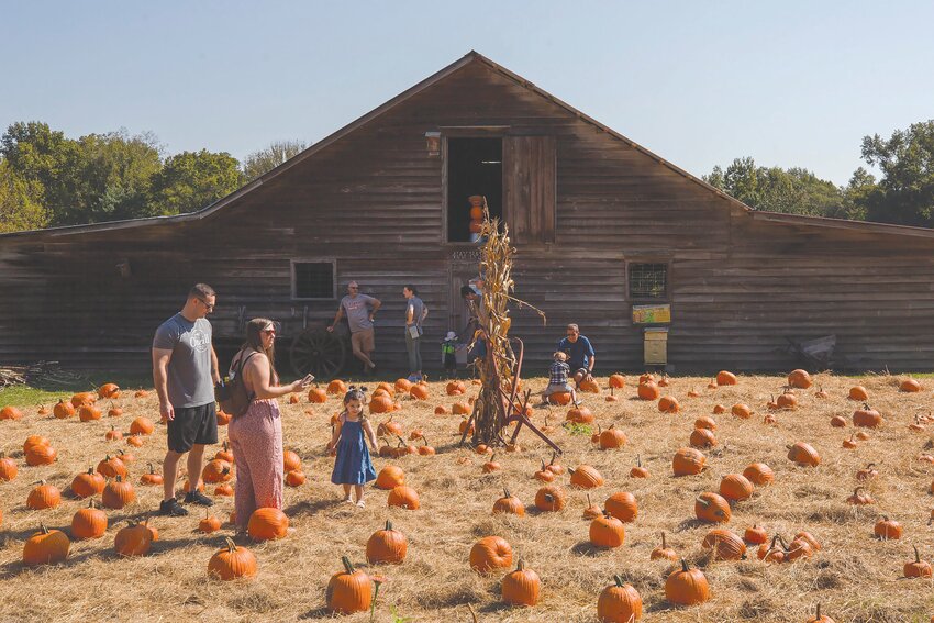 Take the family to the 15th-annual Old McCaskill's Fall Family Farm Day on Saturday, Oct. 5, for pumpkin picking, games, rides and much more to enjoy.