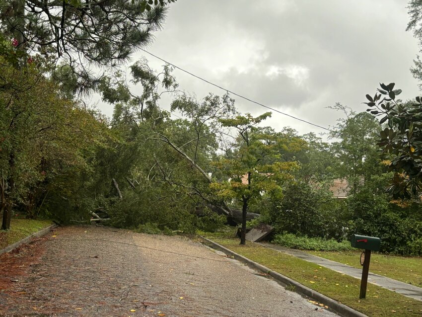 A tree blocks Mood Avenue in Sumter on Sept. 27 as Hurricane Helene leaves downed limbs, trees and power lines in its wake.