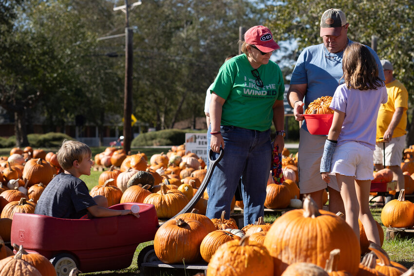 Pick out a pumpkin or two at Aldersgate United Methodist Church's Pumpkin Palooza, 211 Alice Drive. The patch is open 10 a.m.-6 p.m. Saturday and 2-6 p.m. Sunday-Friday.