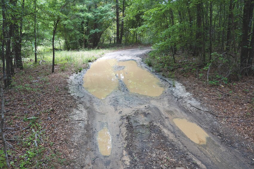 Wilfred Drive in Rembert is in poor condition with large puddles and potholes.