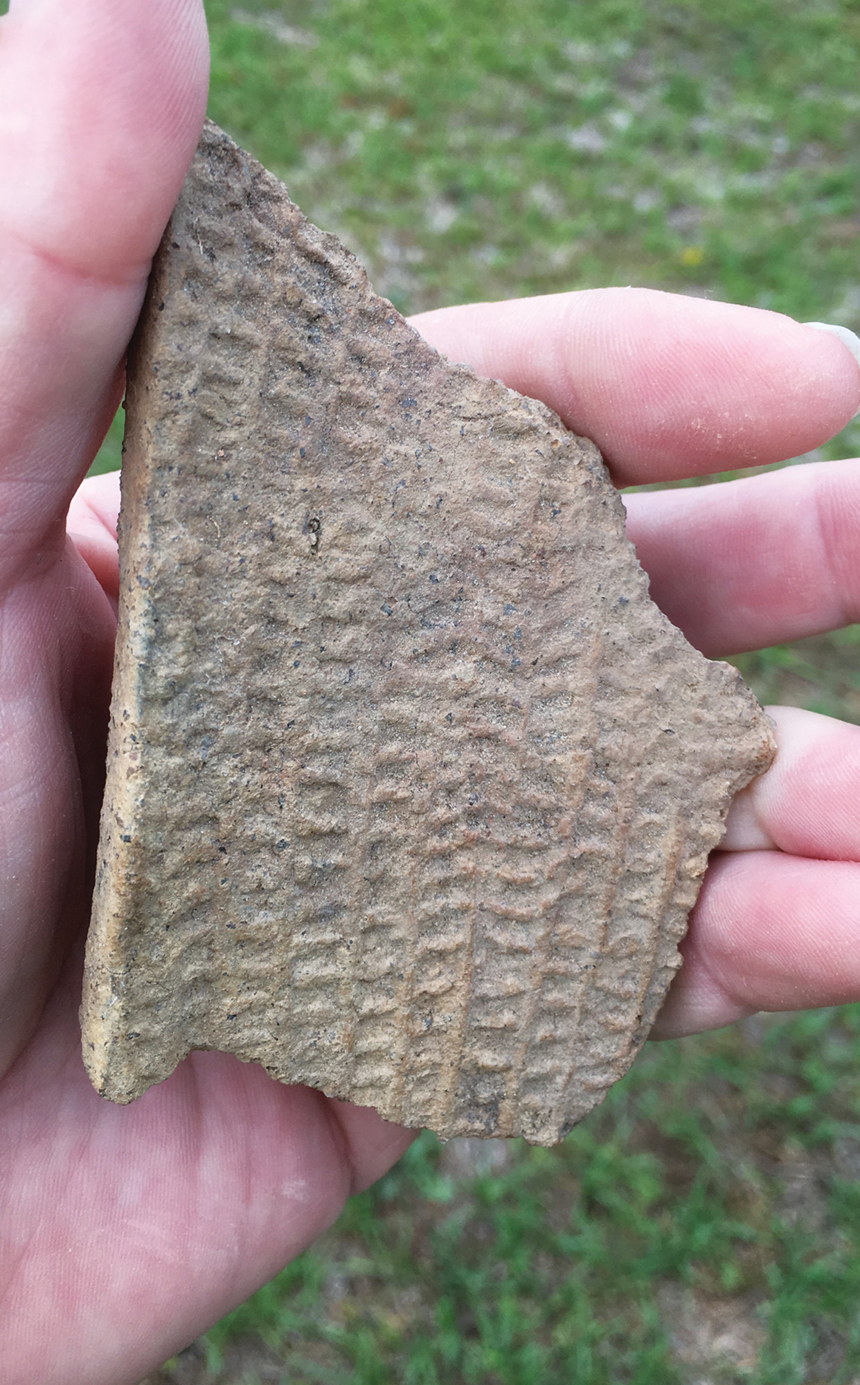 This pottery shard is marked with a small ear of corn. The smooth edge near the thumb is the finished lip of a jar or vessel of some type.