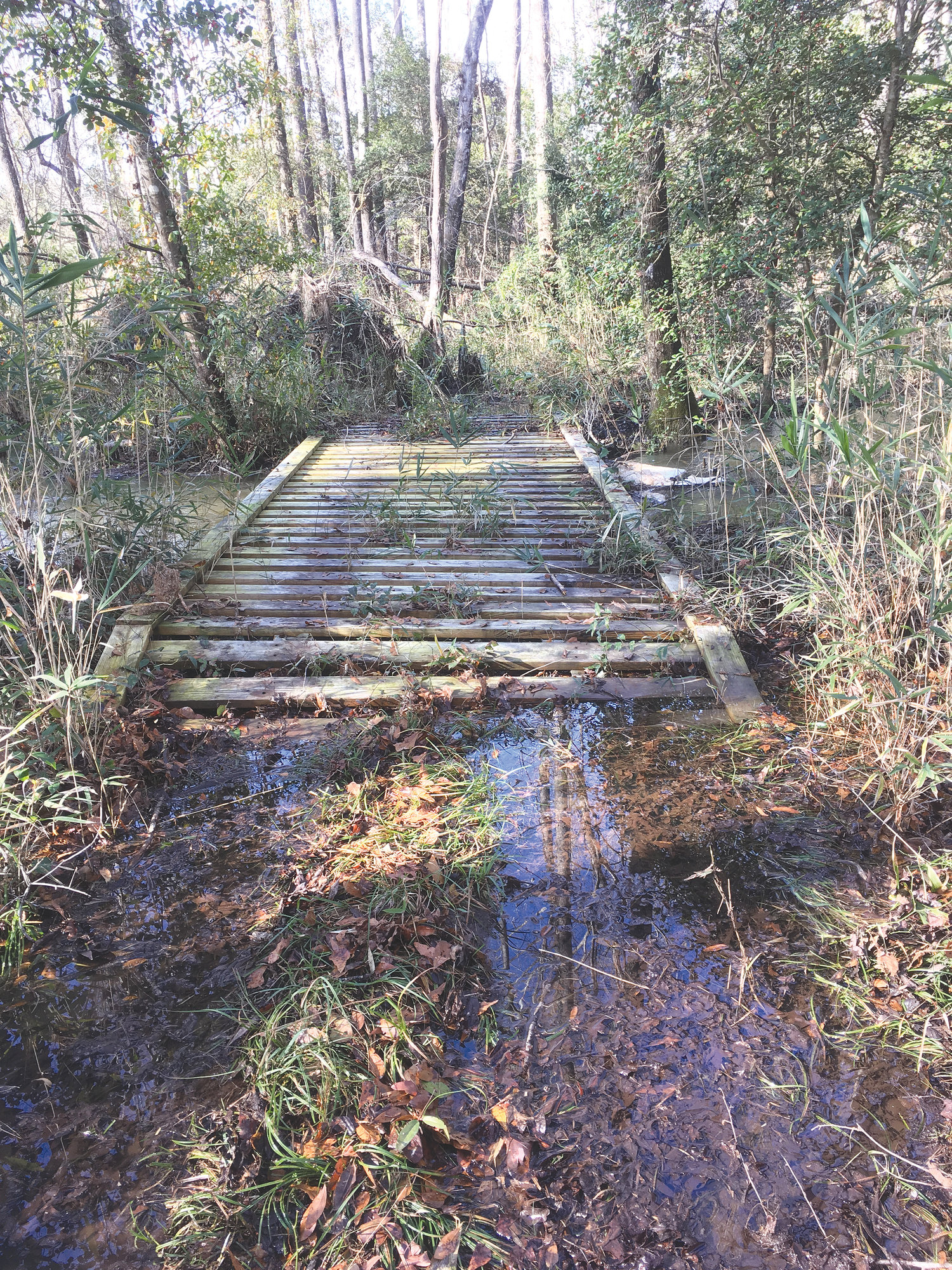 DAN GEDDINGS / SPECIAL TO THE SUMTER ITEMFinding a bridge on the creek was a nice surprise.