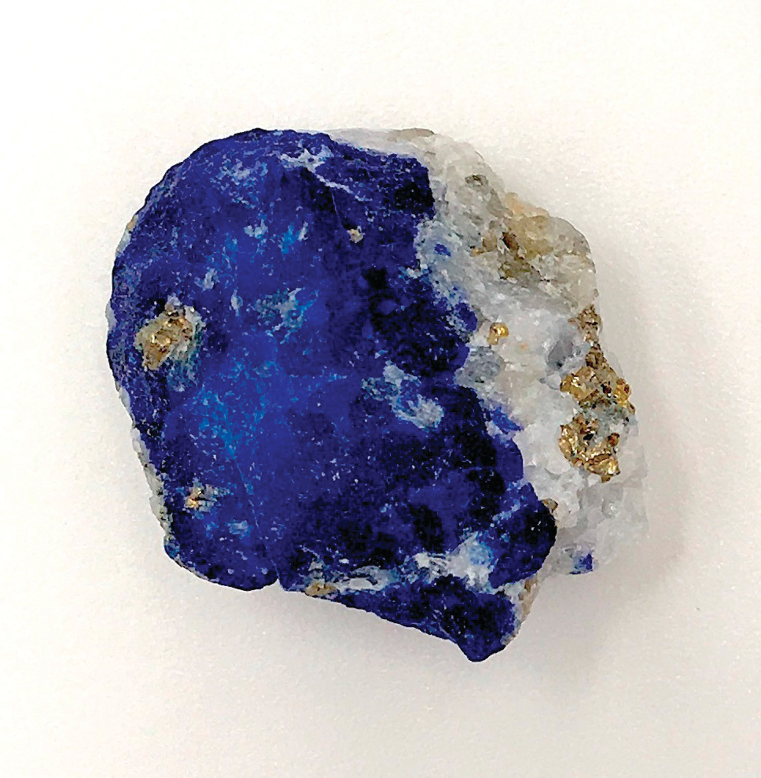 Christina Warinner / Max Planck Institute for the Science of Human History via APSeen is a piece of lapis lazuli. During the European Middle Ages, Afghanistan was the only known source of the rare blue stone which at the time was ground up and used as a pigment. Modern-day scientists who examined the 1,000 year-old remains of a middle-aged woman in Germany discovered the semi-precious stone in the tartar on her teeth. From that, they concluded the woman was an artist involved in creating illuminated manuscripts, a task usually associated with monks.