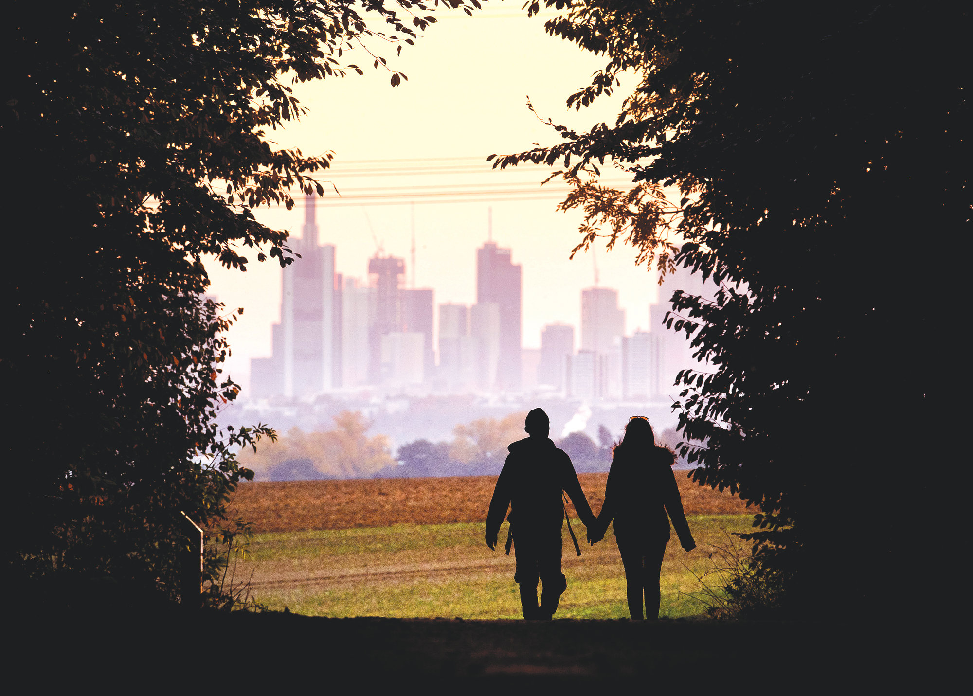 A couple walks through a forest with the Frankfurt skyline in the background near Frankfurt, Germany, on Oct. 21. Development that's led to loss of habitat, climate change, overfishing, pollution and invasive species is causing a biodiversity crisis, scientists say in a new United Nations science report released Monday.