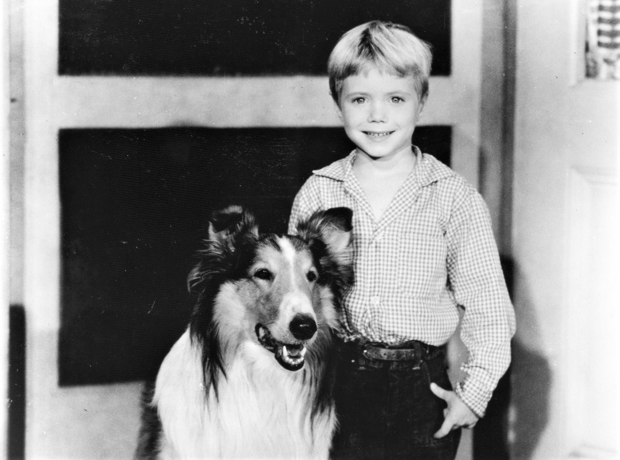 Lassie' star Jon Provost says Timmy was never trapped in a well: 'We just  don't know where that came from