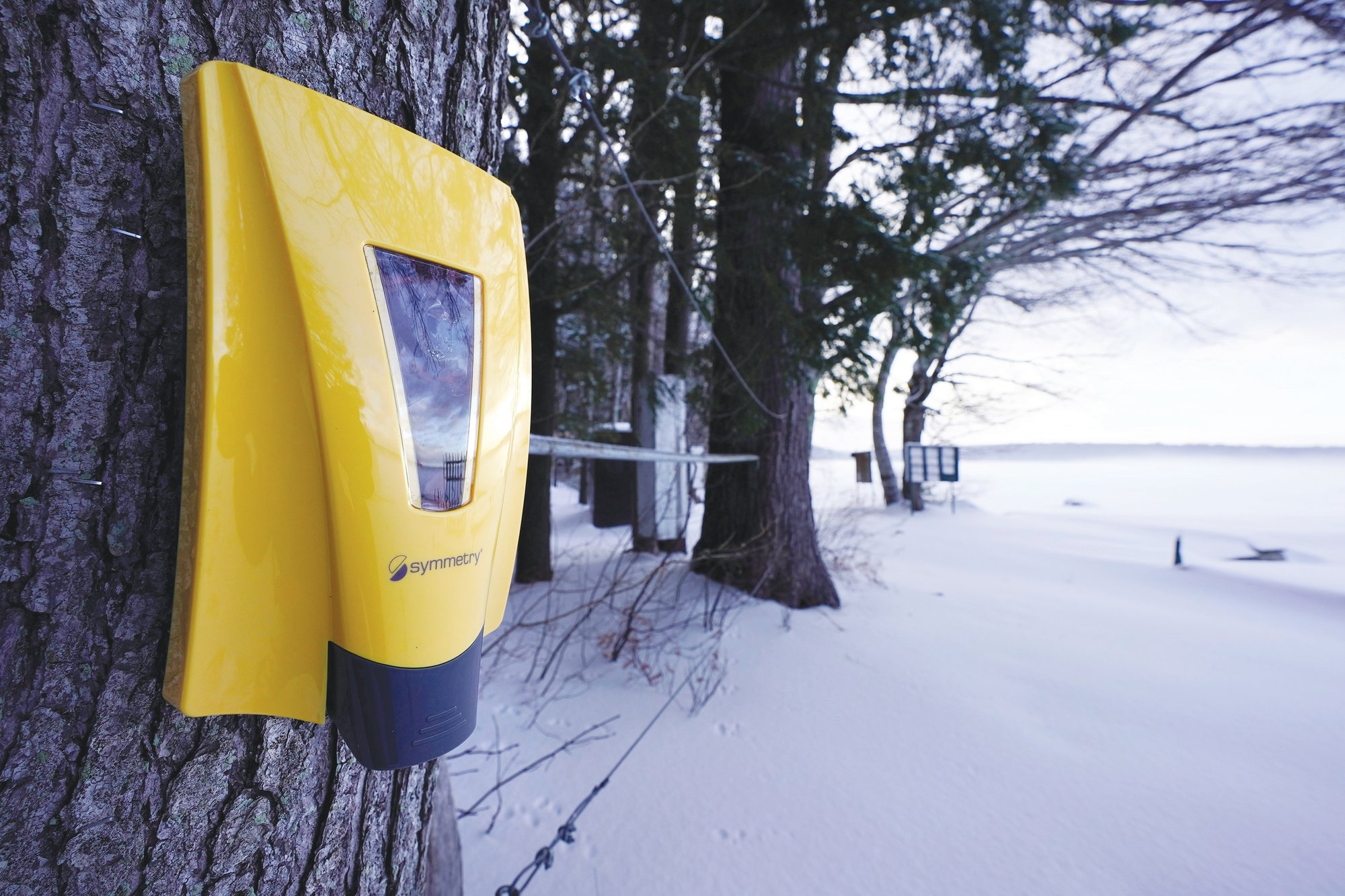 A hand sanitizer dispenser remains mounted to a tree at Camp Fernwood, a summer camp for girls, on Feb. 20 in Poland, Maine. Camp directors across the country are feeling more confident about reopening this summer after a pandemic hiatus in 2020, but in some states, they are still awaiting guidelines.
