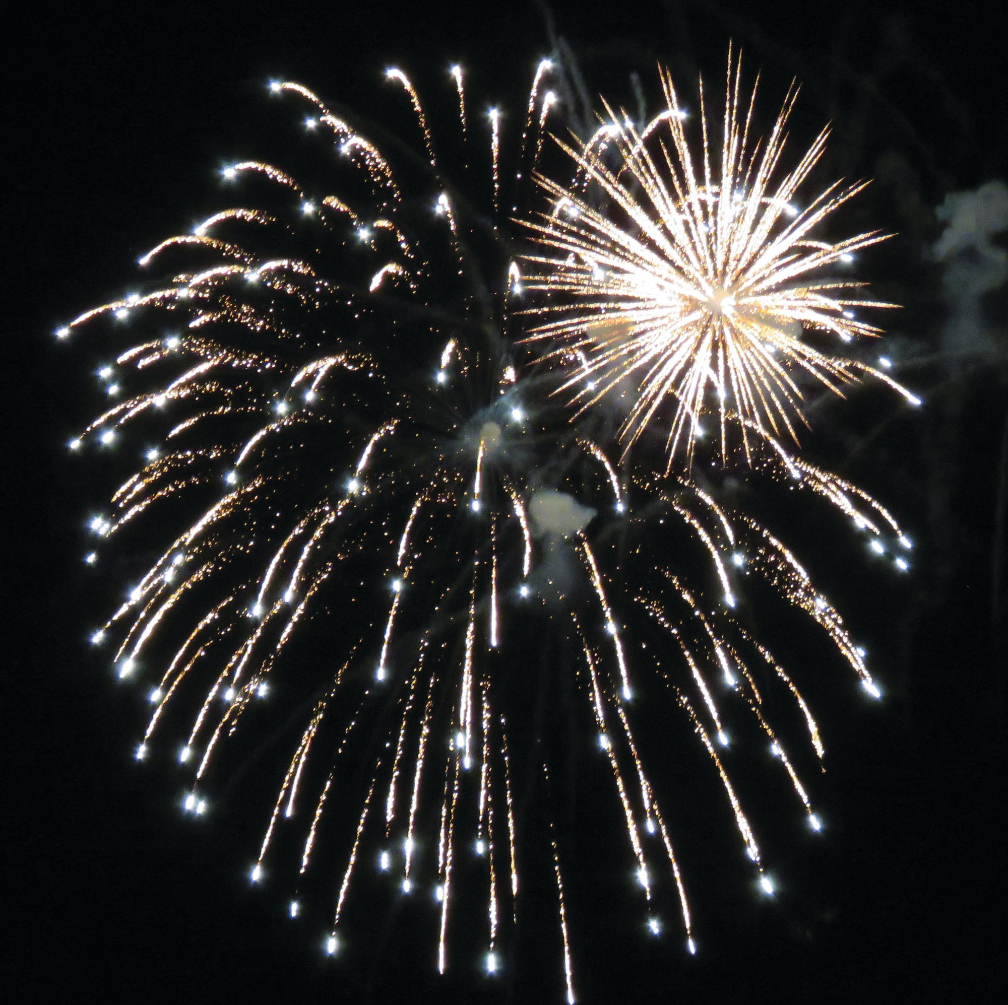 City of Sumter celebrates Independence Day with fireworks show The