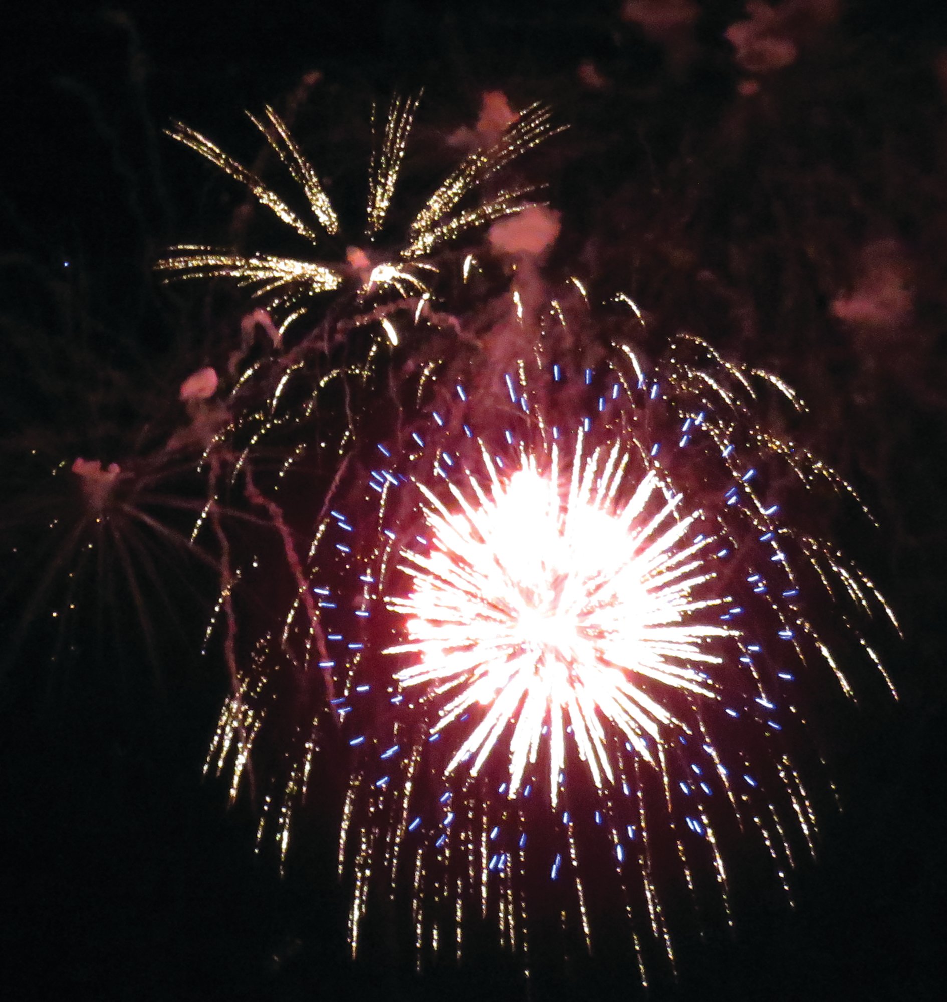 City of Sumter celebrates Independence Day with fireworks show The