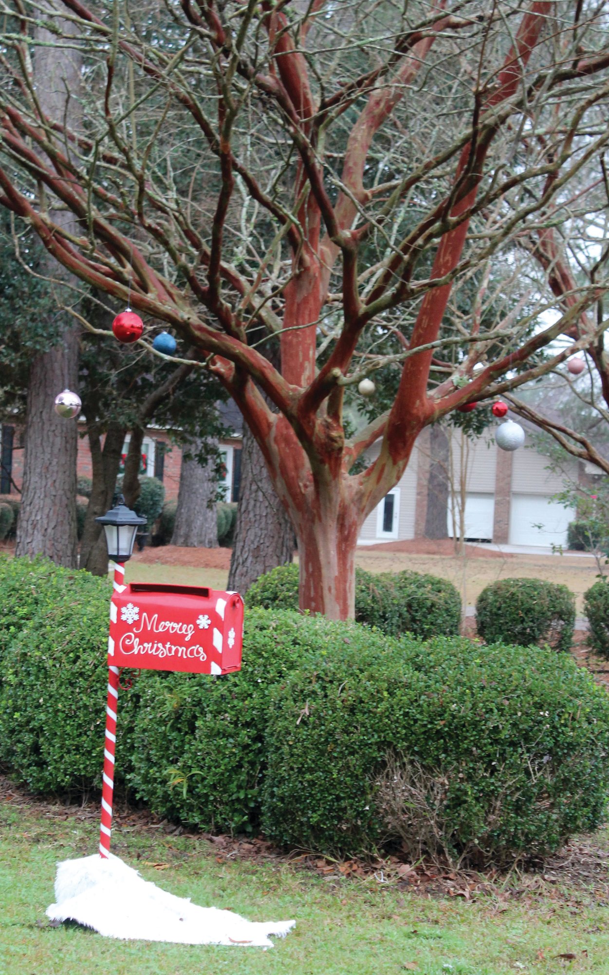 Manning family spreads joy with Santa's mailbox, photos with the head 