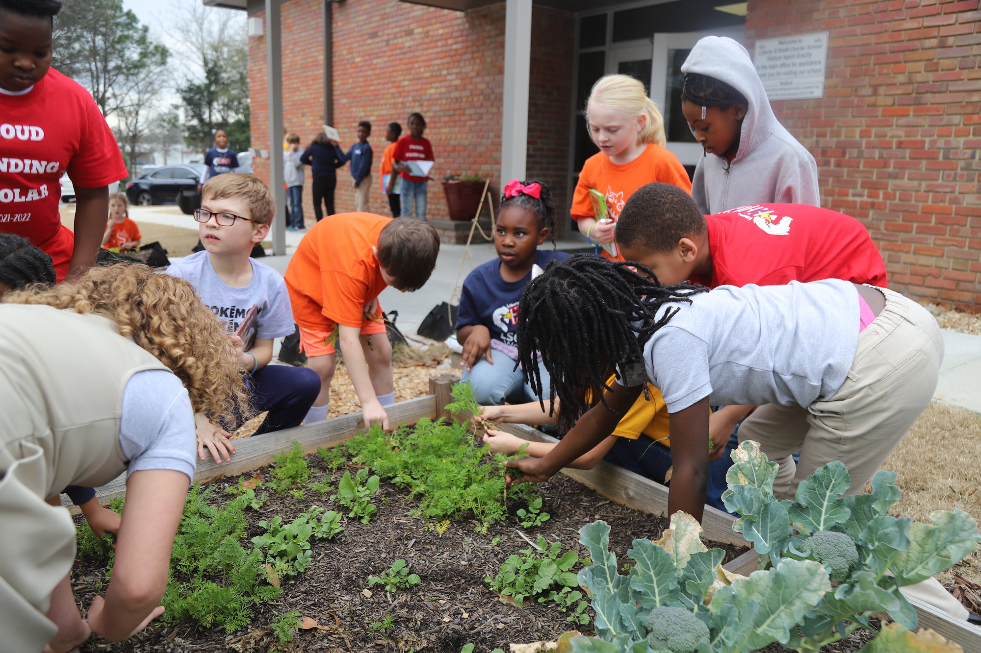 Liberty STEAM Charter School in Sumter wins 'Champions of the ...