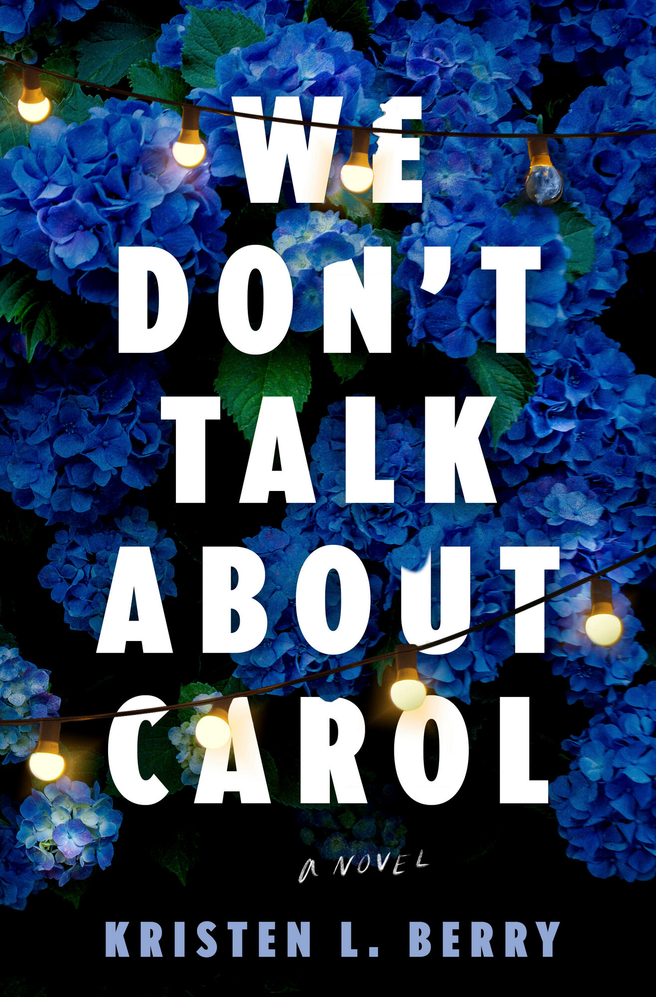 Book review: A diary sends a woman on a quest to solve cold case of 6 missing Black girls